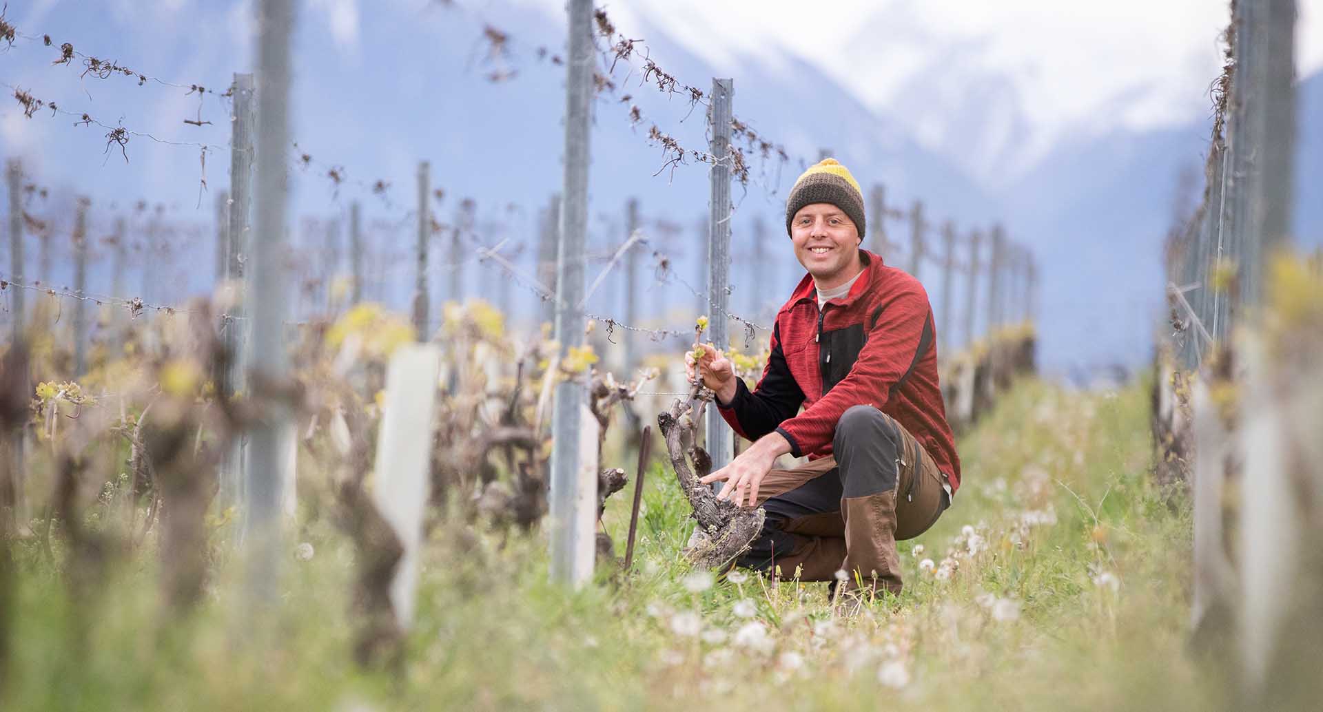 Guillaume Bodin - Vigneron au Domaine des Petites Planètes - Photoval